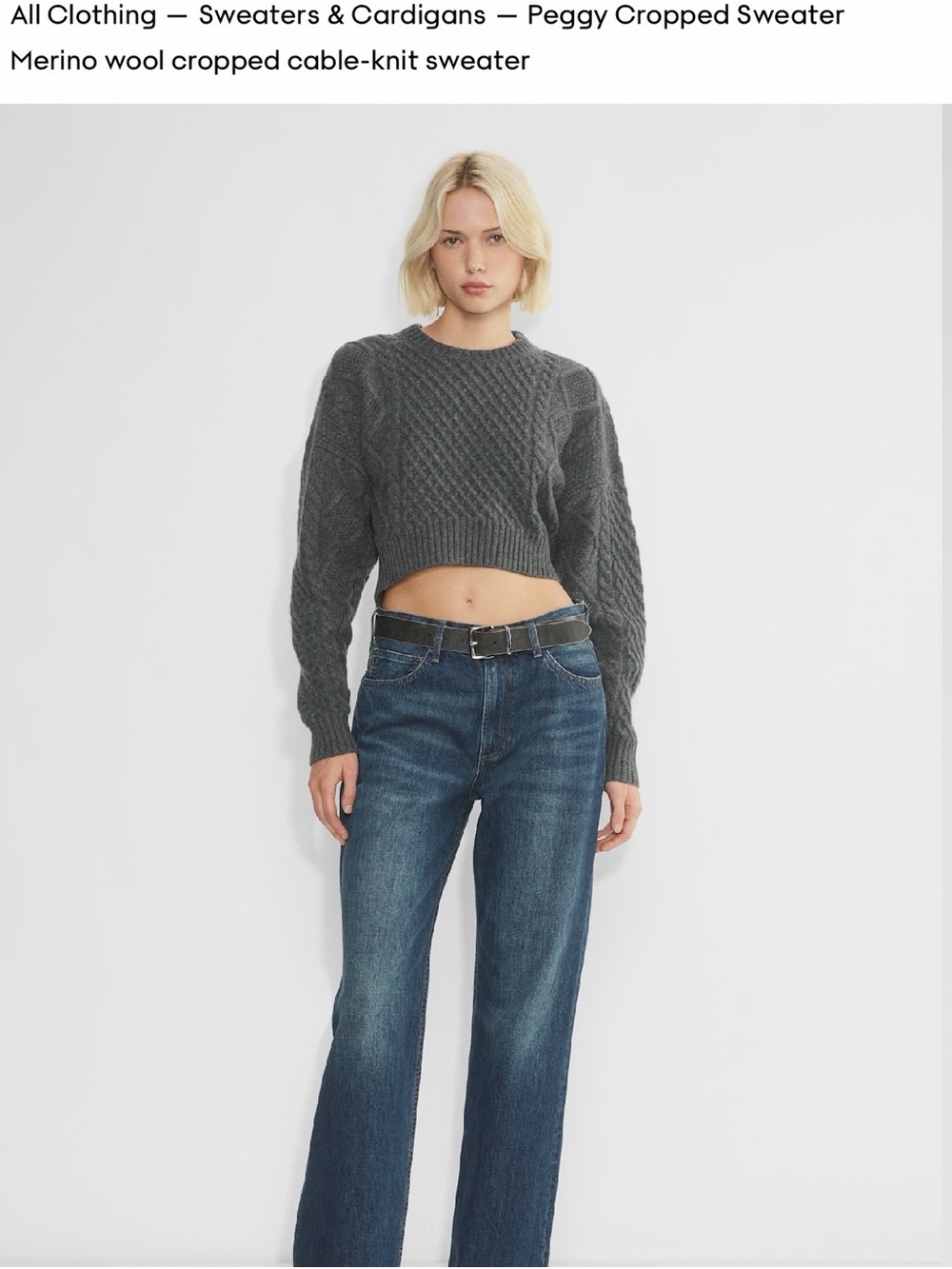 Aritzia Sunday Best Peggy Cropped  Merino Wool Knit Charcoal Sweater XS